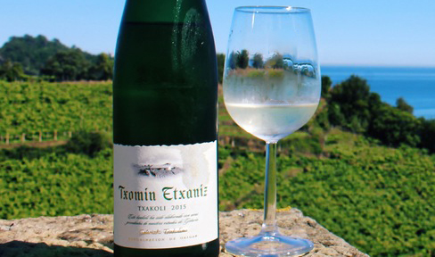 Бокал белого вина TXOMIN ETXANIZ TXAKOLI 2015 